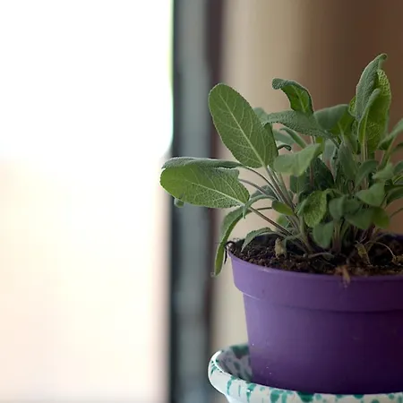 Casale Spina * Santa Caterina Villarmosa